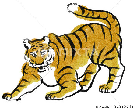 日本画タッチの威嚇する虎のイラストのイラスト素材 [82835648] - PIXTA