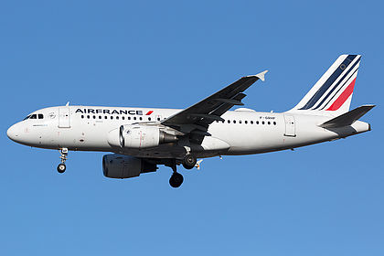 AF Air France Aviationtag A319-100 コンビ色 AF Air France