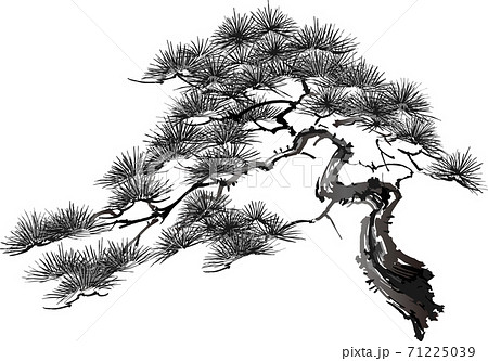 水墨画 画集 風景画 自然画 水墨画 自然風景 署名あり 約24cm x 27 cm 【