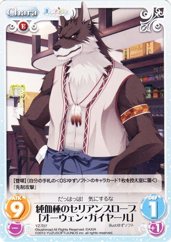 Chaos TCG ゆずソフト まとめ Chaos TCG ゆずソフト まとめ セット