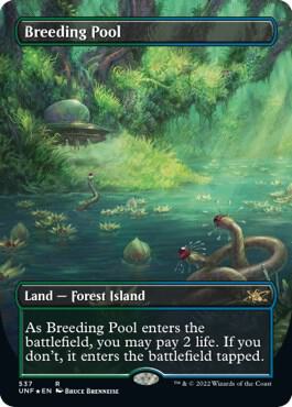 mtg 繁殖池 breeding pool foil 初版 dissension mtg 繁殖池foil
