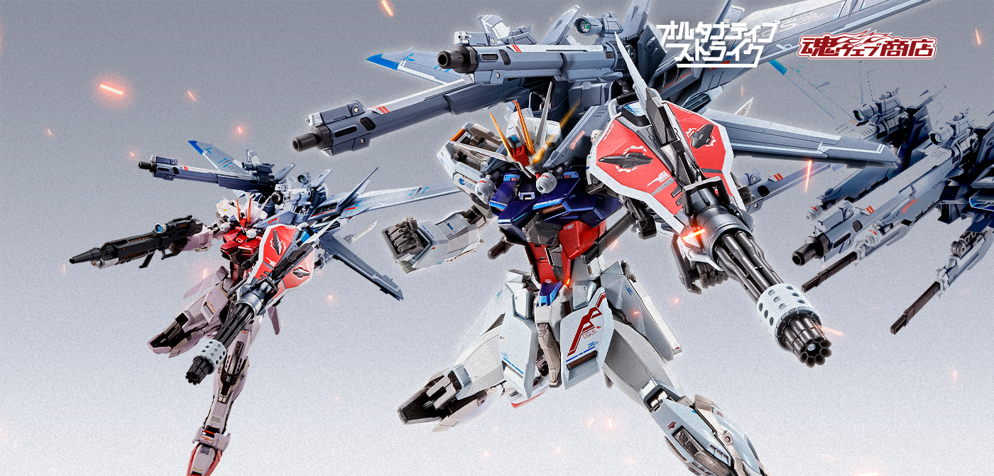METAL BUILD I.W.S.P. | 魂ウェブ