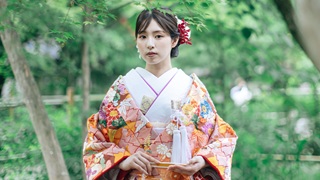 花嫁衣装 - 色打掛 - TANAN 丹庵