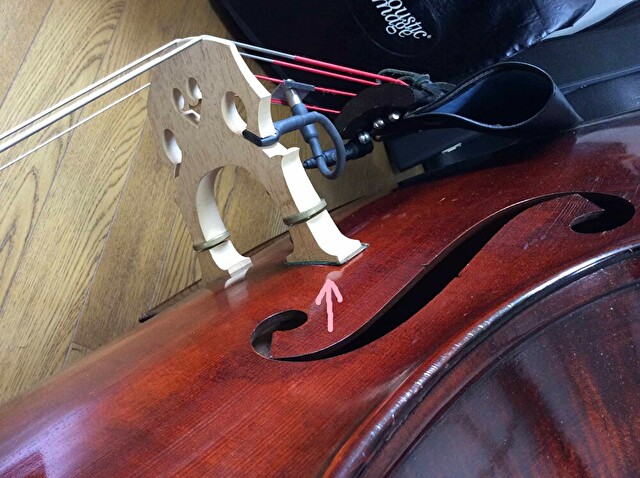 Realist LifeLine コントラバス用ピエゾピックアップ REALIST（レア