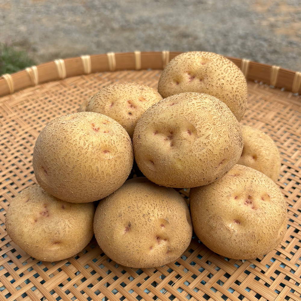 ジャガイモ20kg | 北海道ニセコ町の農家 多田農園