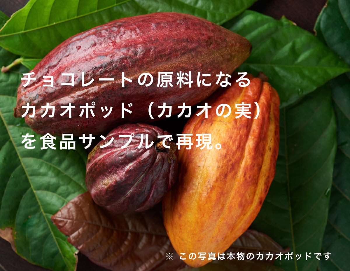 まるで本物。リアルな食品サンプル 食べられない カカオポッド カット