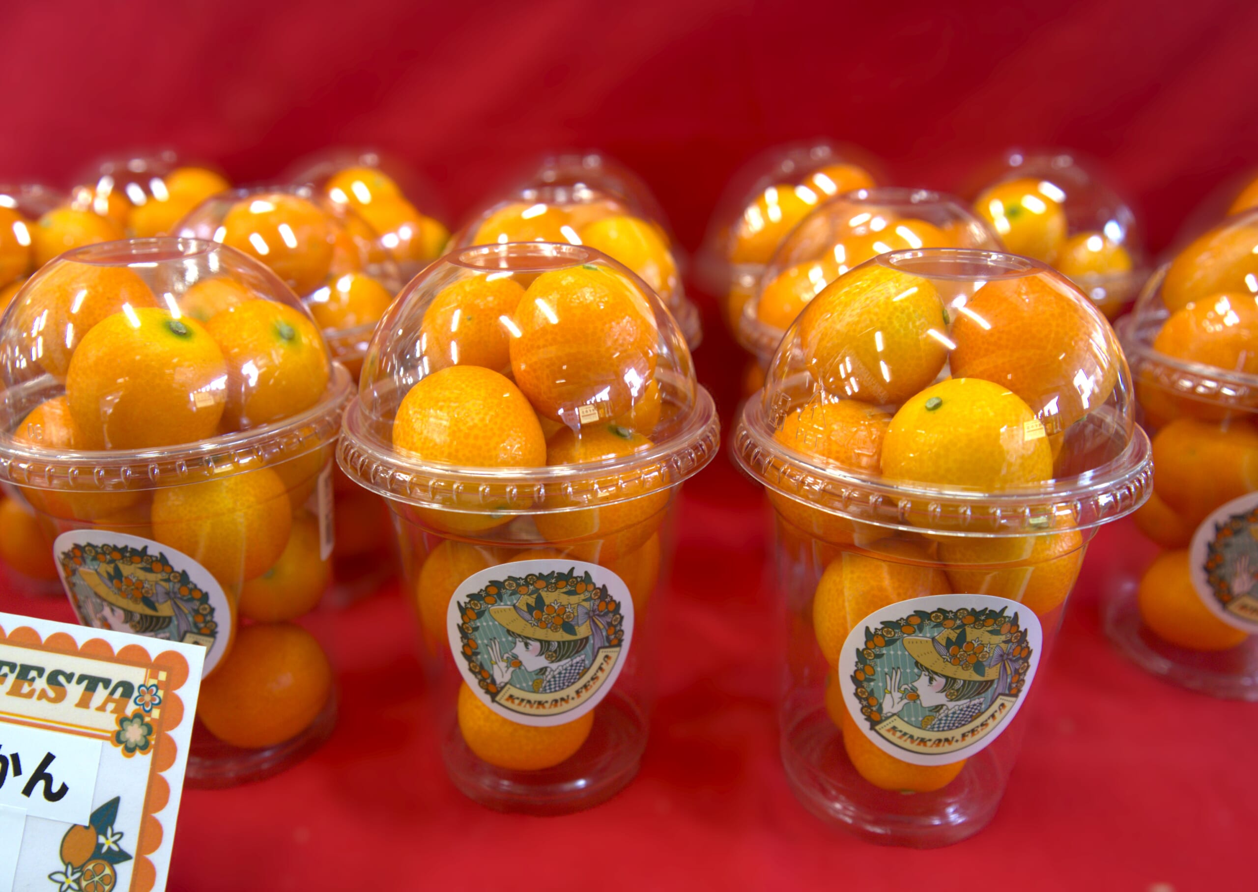 金柑普洱茶 金柑普洱茶 金柑普洱茶 金柑普洱茶 ティーブティック 徳用