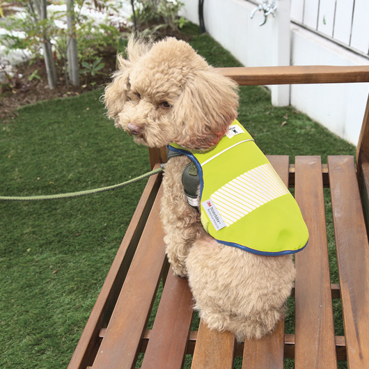 専用○犬服○ハンドメイド 胴45 NO.595 専用○犬服○ハンドメイド 胴45