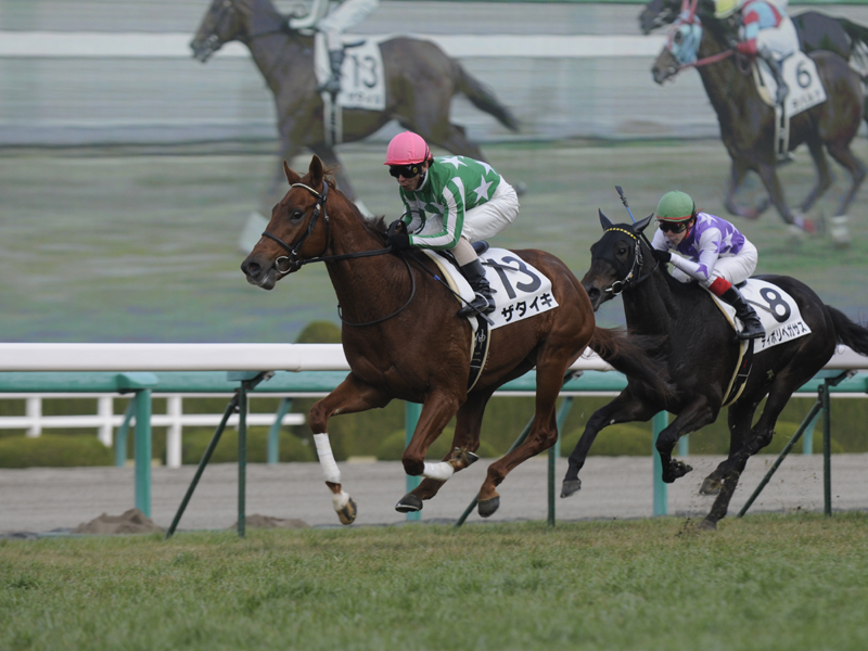 ザタイキ | 大樹レーシングクラブ公式サイト