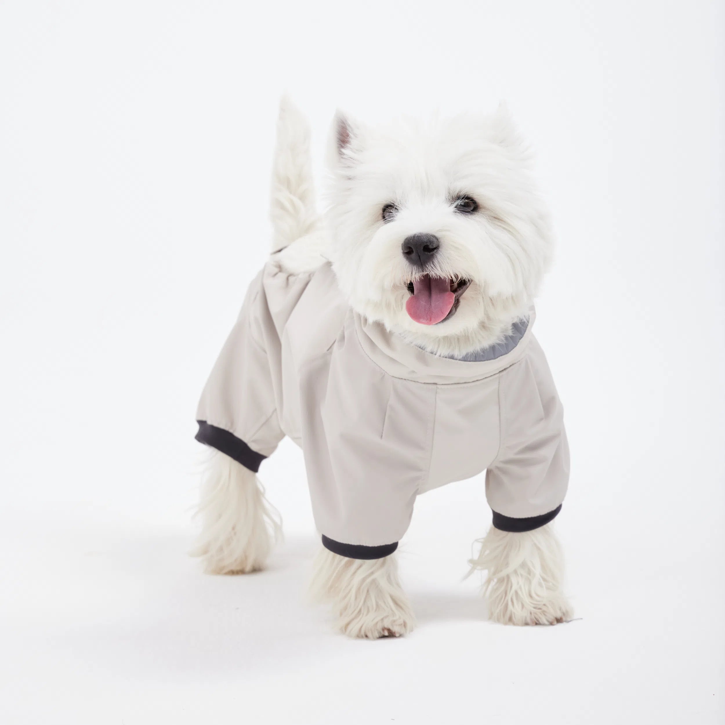 アンダーカバー Go2 Undercover – TAILHIGH