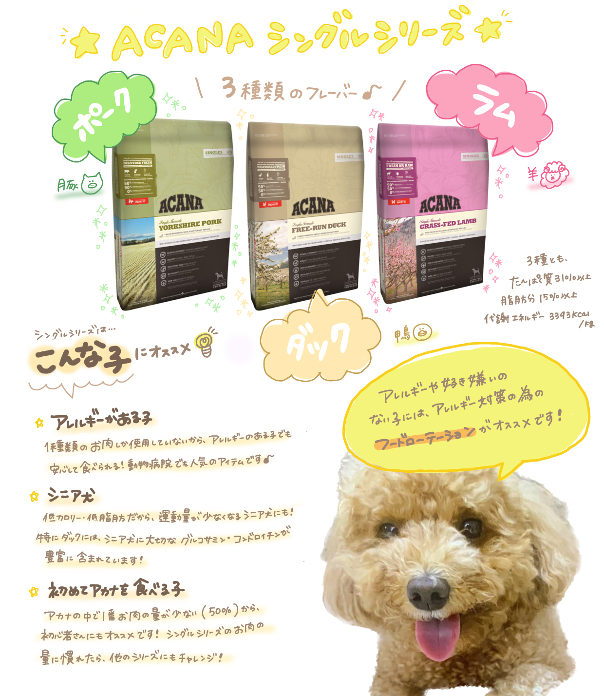 ACANA Senior Recipe ドライドッグフード 2KG 2セット