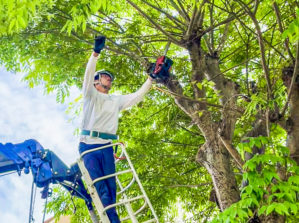 タロウガーデン | 庭木1本からおまかせ 大分のお庭やさん