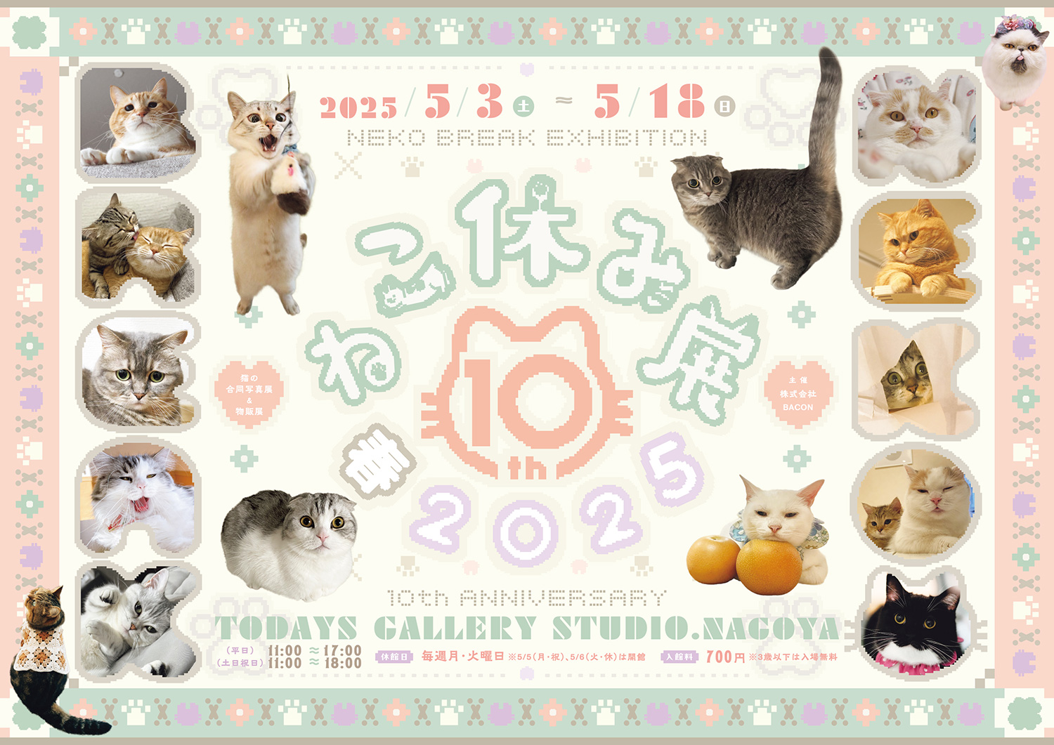ねこ休み展 春 2025 in 名古屋」