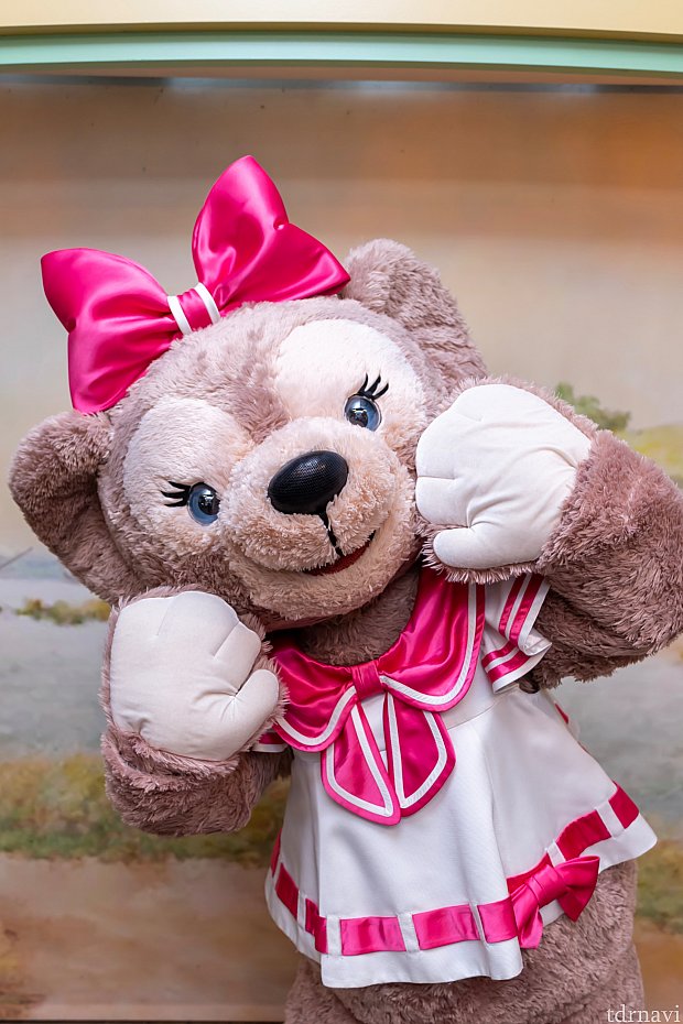 ミートダッフィ♡ | ヴィレッジ・グリーティングプレイス