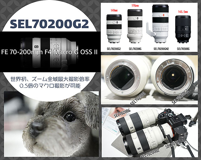 400mm テレマクロレンズ taku】SIGMA 400mm f5.6 APOテレマクロカビ