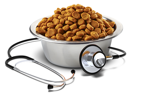 ファルミナ】〈犬用〉尿路ケアS/O