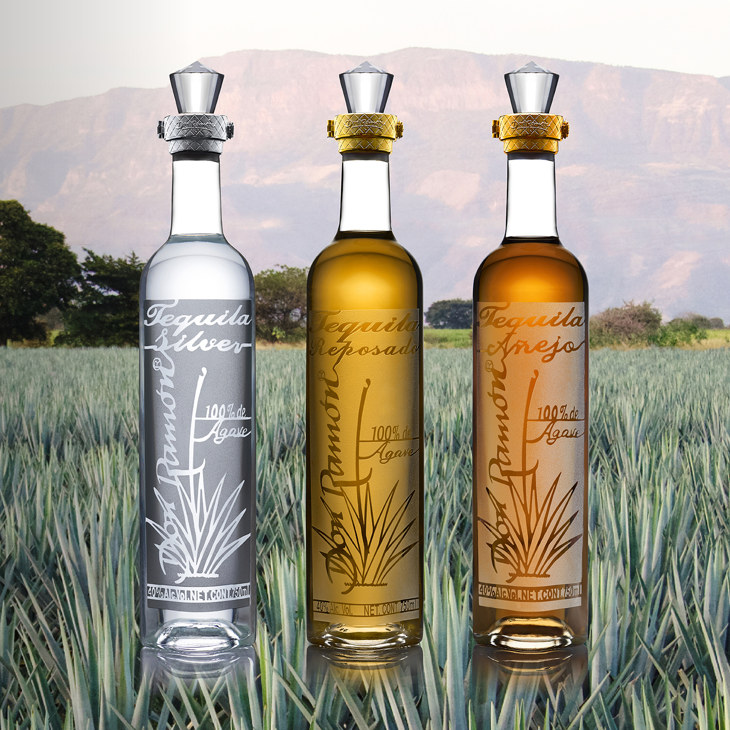 株式会社アルマテラから日本初上陸テキーラ「ドン・ラモン」が発売開始