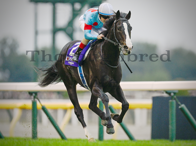 まねき馬倶楽部引退記念sp 2468イクイノックス