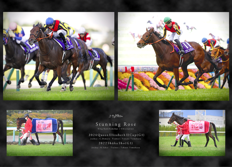 G1優勝記念○スタイルパネル○ シャフリヤール | サラブレッドライフ