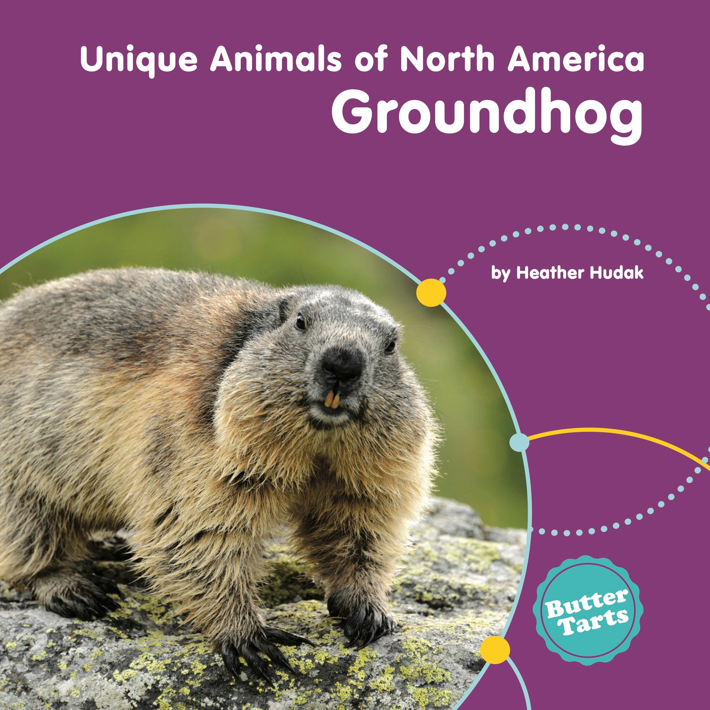 Unique Animals of North America – The Creative Company