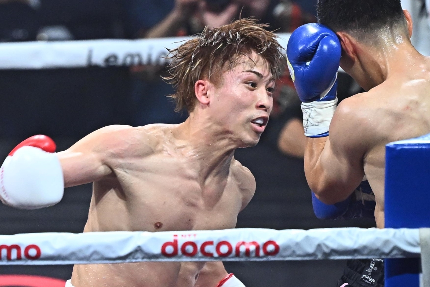 クラウンV8 ボクシング 井上尚弥 キャップ ラスベガス井上VSカルデナス