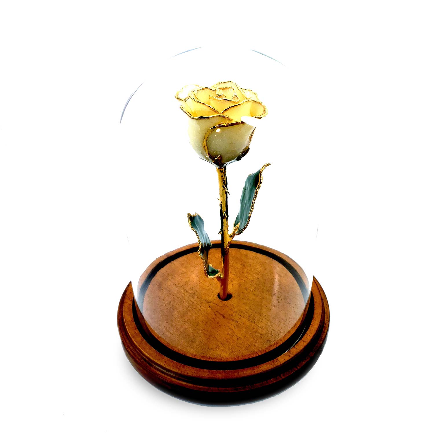 Custom Enchanted Rose w/ 24K Gold Trim Roses - The Forever Rose
