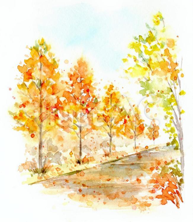 秋の並木道水彩画
