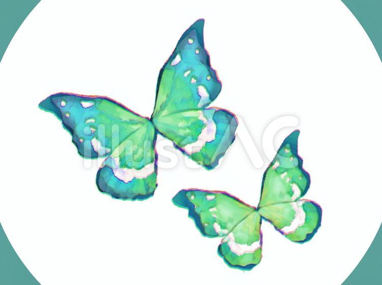 タイトル【夢旅蝶々】絵画 タイトル【夢旅蝶々】絵画