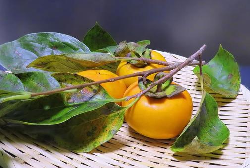 柿の写真素材｜写真素材なら「写真AC」無料（フリー）ダウンロードOK