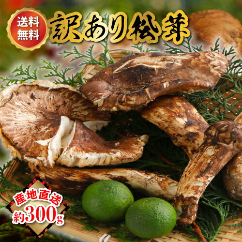 松茸 北海道 600g 訳あり ① 国産 okamatu-hiraki-wake-300.jpg