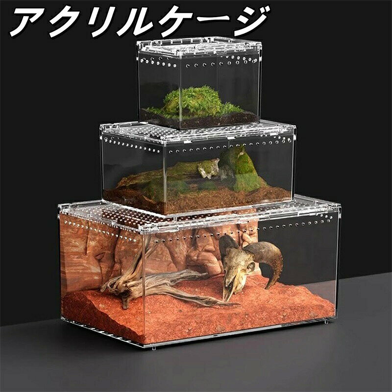 楽天市場】ビニール 温室（爬虫類・両生類｜ペット・ペットグッズ）の通販