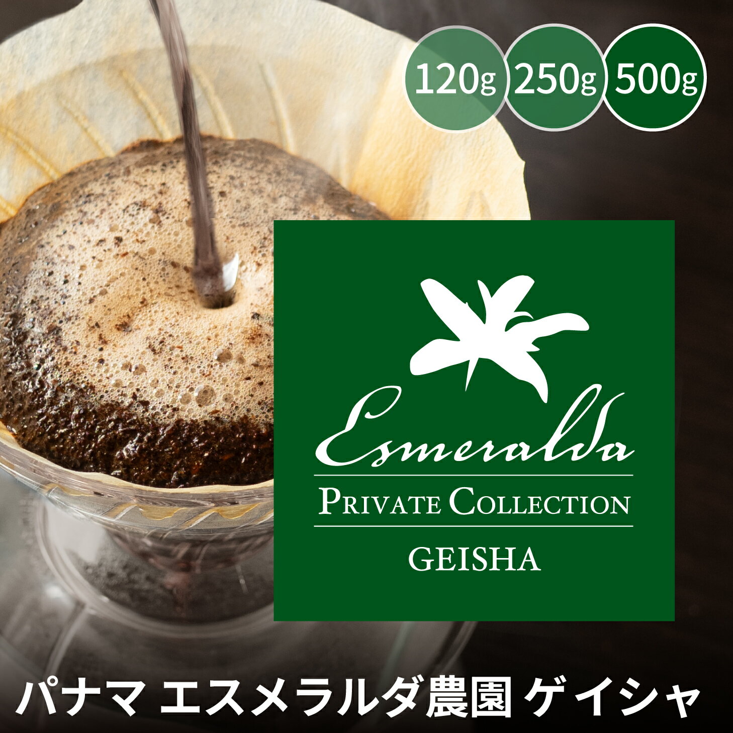 楽天市場】パナマ エスメラルダ農園 ゲイシャの通販