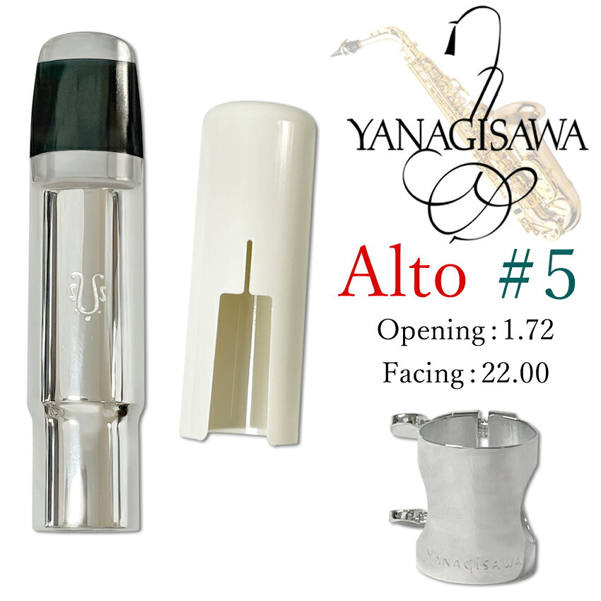 楽天市場】メタルマウスピース ヤナギサワの通販