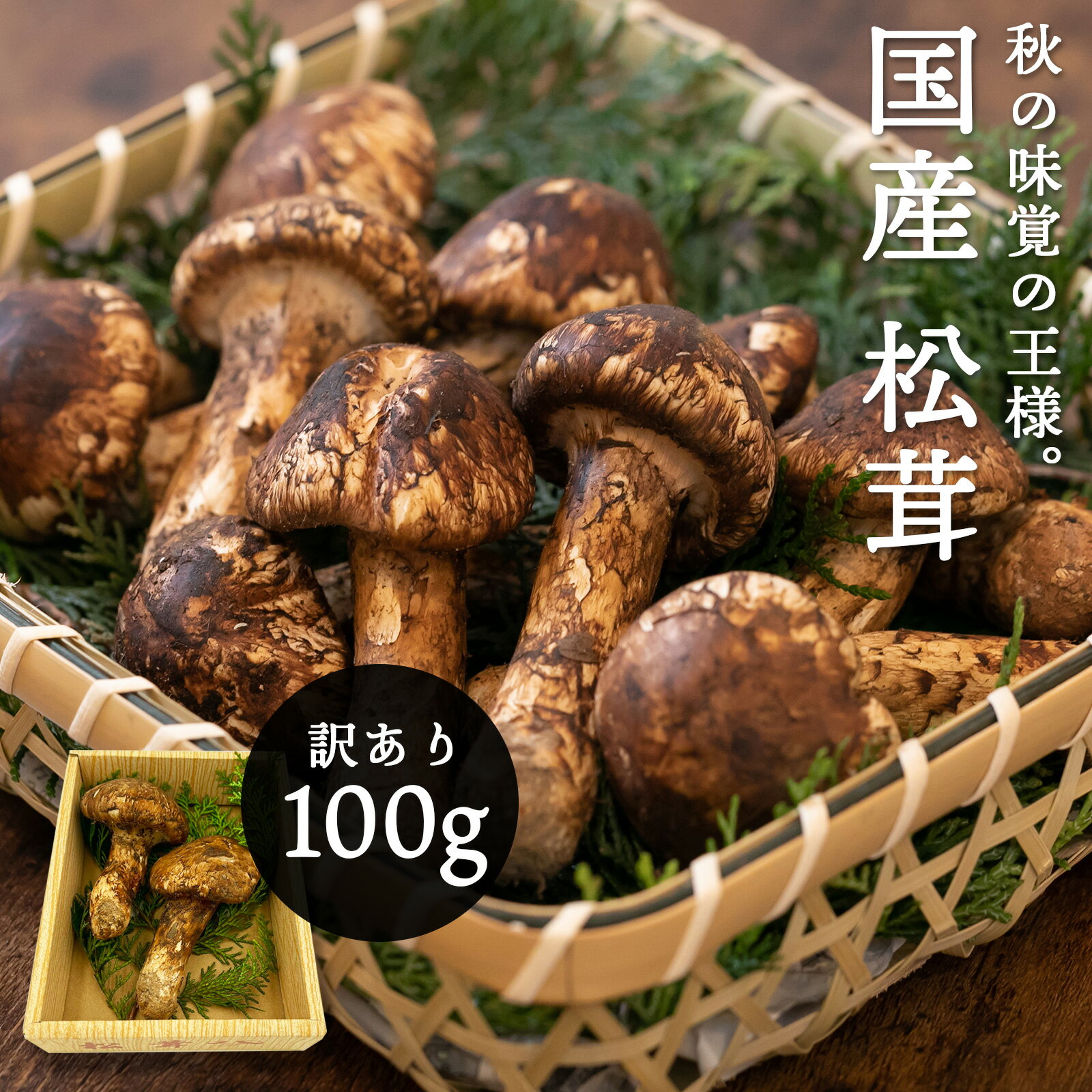北海道松茸500g 訳あり