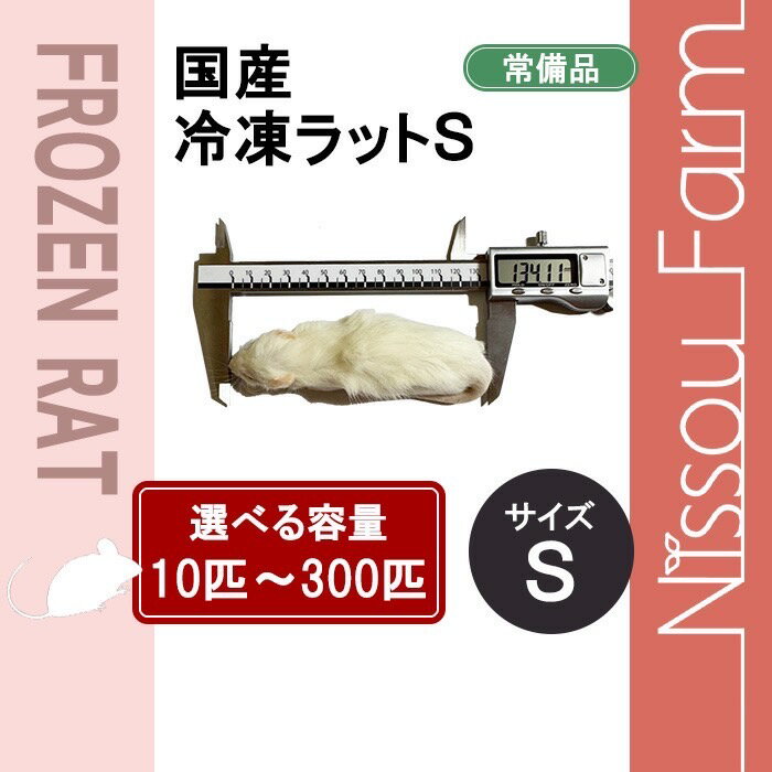 楽天市場】冷凍 ラットの通販