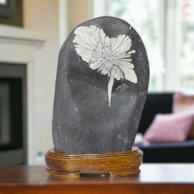 天然石 鑑賞石 菊花石 置物 重さ約921g C 8872 天然石 鑑賞石 菊花石