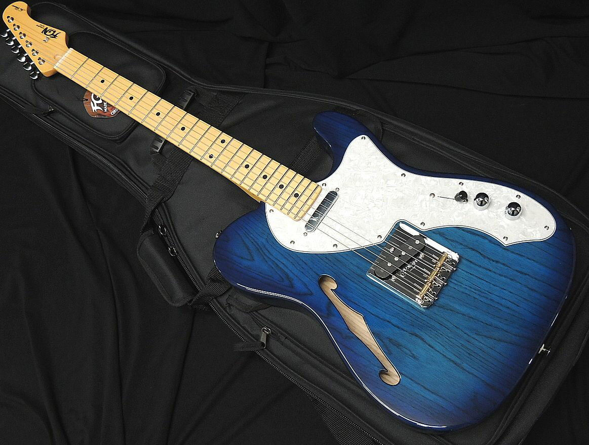 シンライン テレキャスターシンライン FGN フジゲン【純正ギターケース