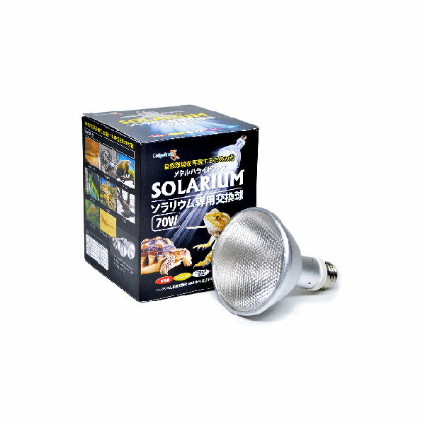 楽天市場】ソラリウム uv 70wの通販
