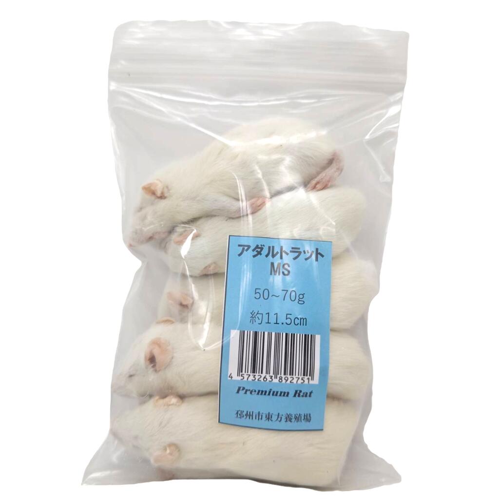 楽天市場】冷凍 ラットの通販