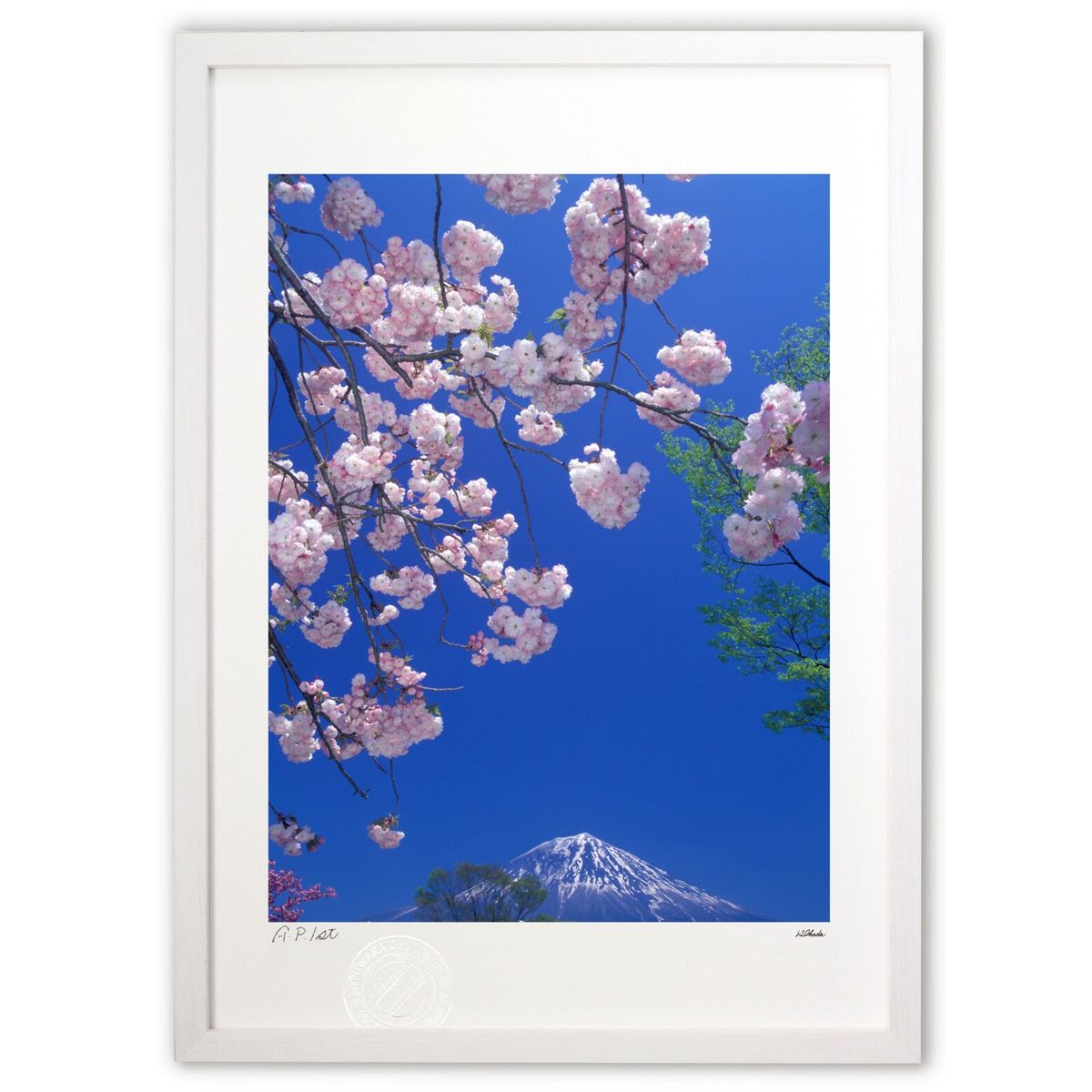 楽天市場】牡丹 日本画（版画｜絵画）：アート・美術品・骨董品・民芸