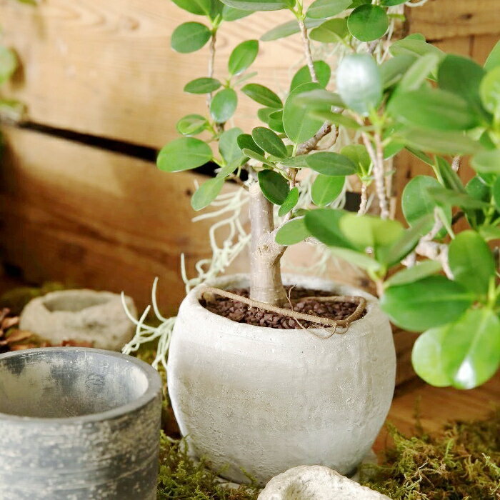 パステルカラーのオシドリの絵植木鉢の中古品アンティークコレクション