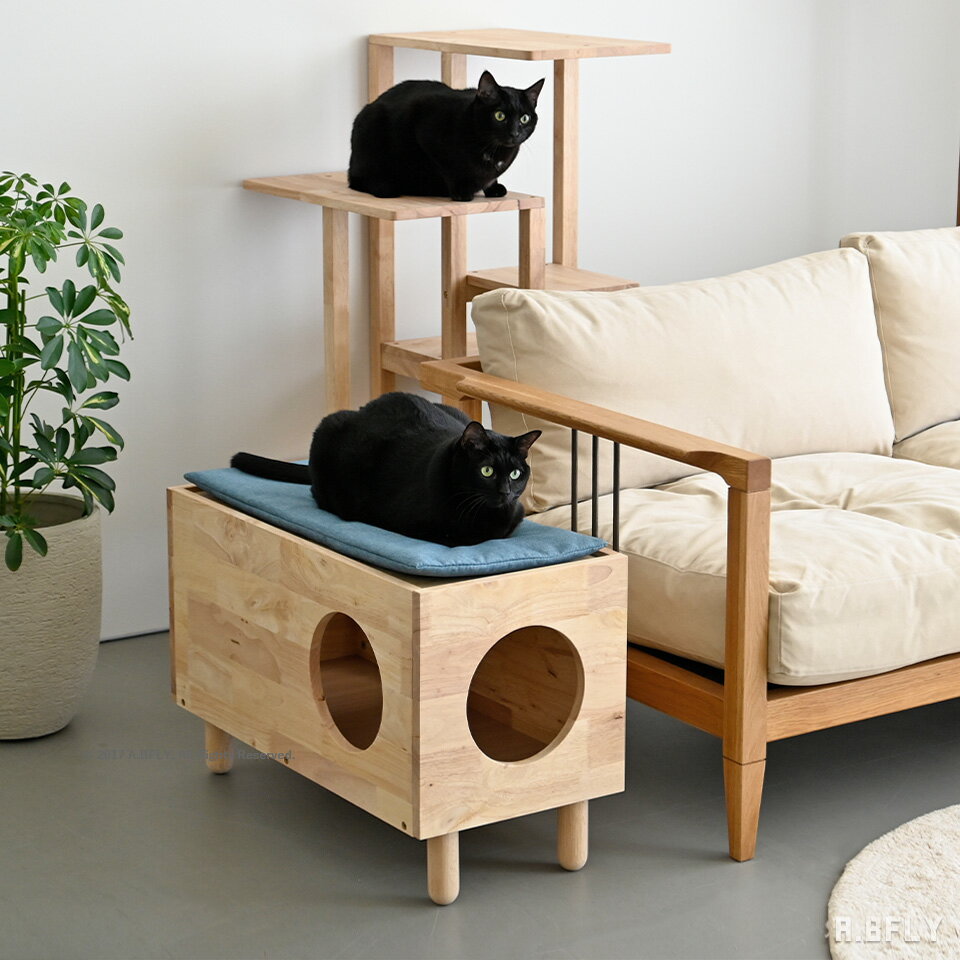 楽天市場】猫 秘密基地の通販