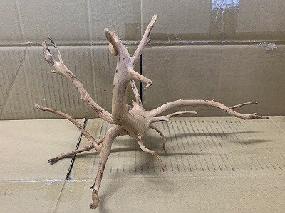 MDW-6784 特大ブランチウッド 流木 枝流木 アクアリウム MDW-6784 特大