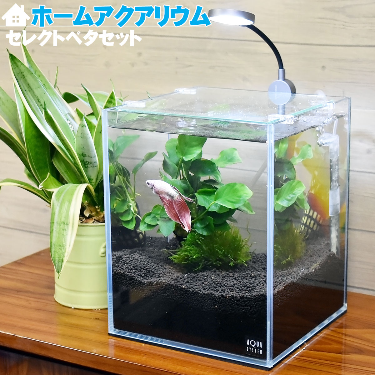 楽天市場】ADA 水槽セットの通販