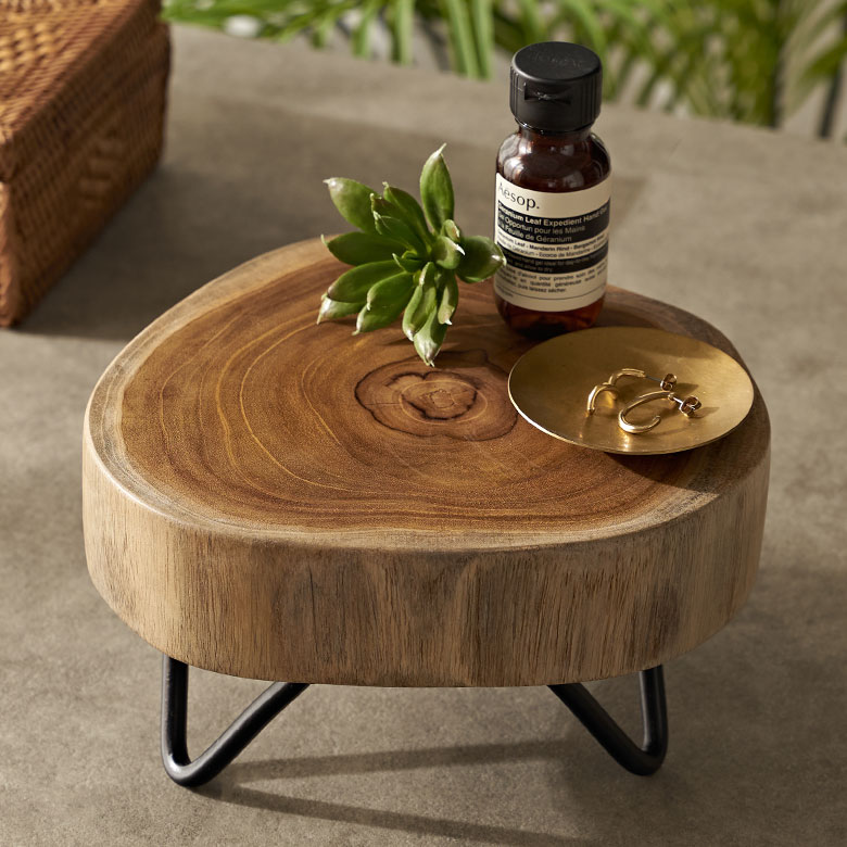 楽天市場】切り株 台（置物｜インテリア小物・置物）：インテリア