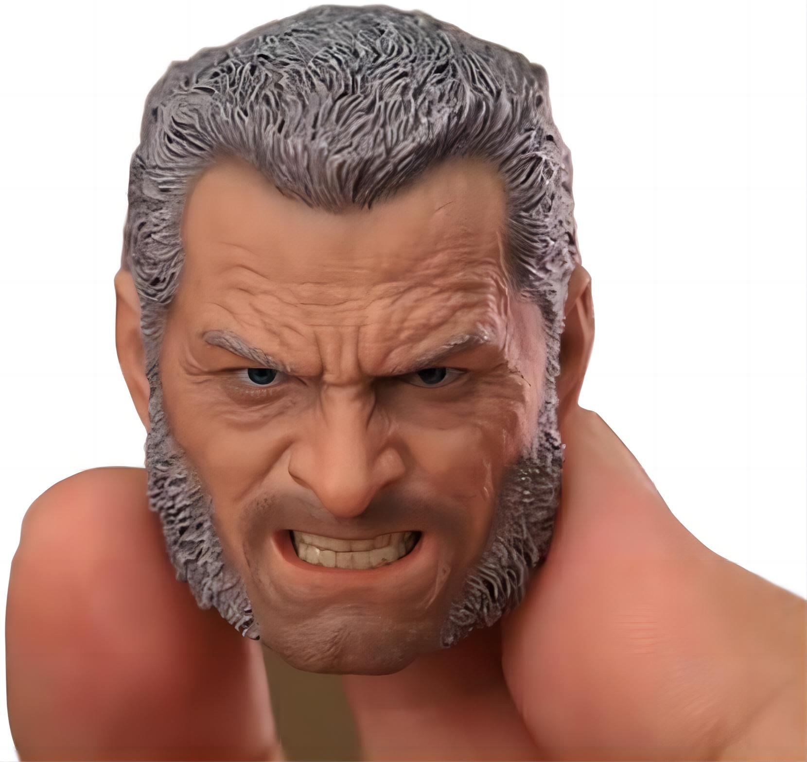 1/6 男性 フィギュア ドール 用カスタムヘッド 確認用 1/6 男性