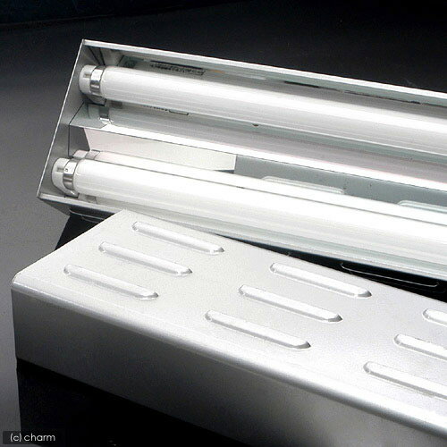 チャーム｜テクニカ