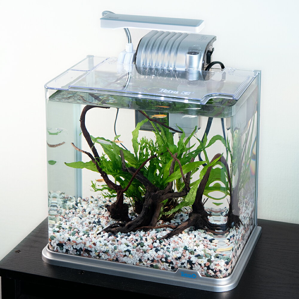 中型ガラス水槽 LEDライト付き