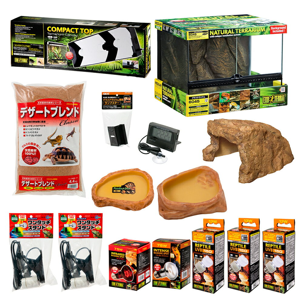 フトアゴ 飼育セット フトアゴヒゲトカゲ飼育フルセット ☆フトアゴ