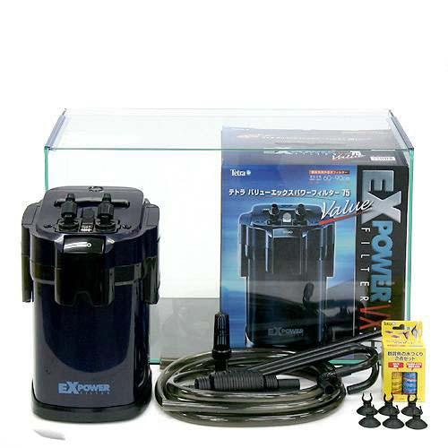 水槽、外部式濾過、ライトのセット